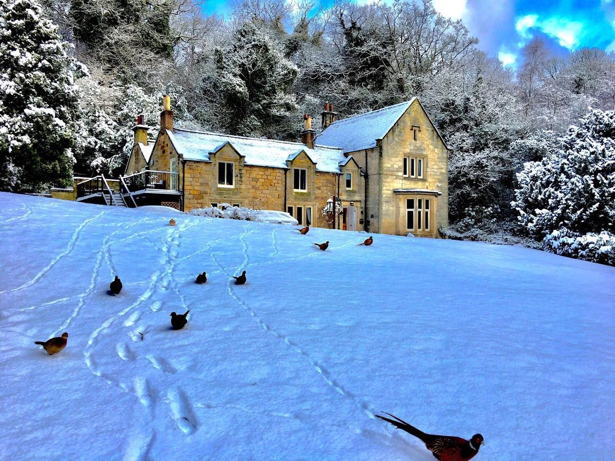 Mulgrave Country Cottage Sandsend Extérieur photo